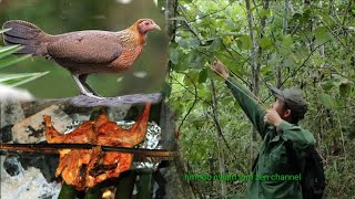 Hunting wild chickens and cooking - Jungle survival challenge episode 15