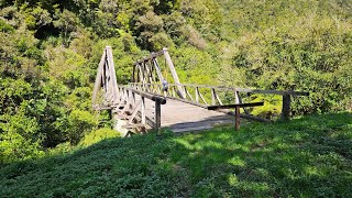 Waioeka, Tauranga Bridge - Manganuku Bridge via Savlon