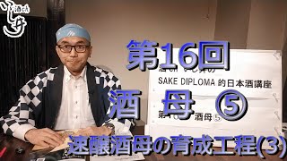 ★酒chいし井講座第16回  速醸酒母の育成工程(3)  酒母⑤【酒chいし井のSAKE DIPLOMA的日本酒講座】