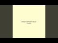 Serene Dream Silver