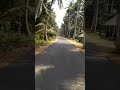 new road in vanne chintalapudi