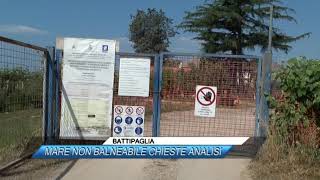 🟥 BATTIPAGLIA, MARE NON BALNEABILE: CHIESTE ANALISI  |Sud TV|