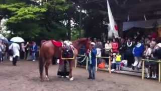 2012 射水市加茂神社／やんさんま祭り