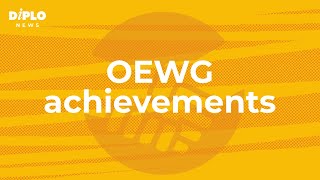 OEWG achievements