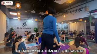 Bài tập giảm mỡ toàn thân | Yoga Giảm mỡ bụng | Yoga Giảm Cân | Yoga Giảm Mỡ Toàn Thân #yoga