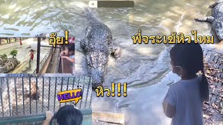 จระเข้ตัวใหญ่ สิงโต ลานแสดงช้างและฟาร์มจระเข้สามพราน 1/2 | Nemo Family #จระเข้  #crocodile #lion