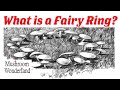 What is a Fairy Ring - Why do mushrooms grow in a circle?