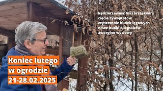 Koniec lutego w ogrodzie. Co trzeba lub warto jeszcze zrobić do 28 lutego 2025.