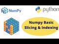 Numpy Basic Slicing and Indexing | Numpy Slicing and Indexing | Python Numpy Tutorial