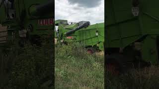 Жнива 2024 Claas