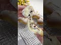 奶酪蔓越莓欧包❤️ cream cheese filled milk bread with cranberries shorts shortsvideo shortsfeed