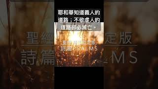 聖經 詩篇，耶和華知道義人的道路；不敬虔人的道路卻必滅亡。  #shorts #short #聖經