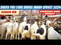 || Lyari Bakra Piri Bakra Mandi Update 2024 Baray Or Khubsurat Bakray Sirf 35 Hazar me ||