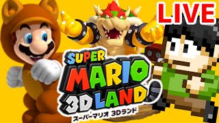 小さな3D世界！マリオ3Dランドやるぞー！S-2面から！