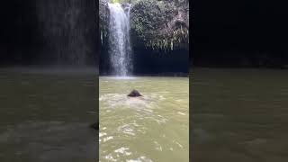 Swimming in Maui🗿🌋 #maui #waterfalls #norwegiancruiseline #roadtohana