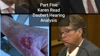 Karen Read | Daubert Hearing | Part Five