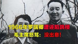 1966年罗瑞卿被人诬陷，悲愤交加选择跳楼，毛主席怒骂：没出息！