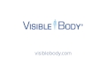 absorption in the small intestine learn@visible body