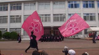 TEAM SAKURA １回目　第５１回秋大祭