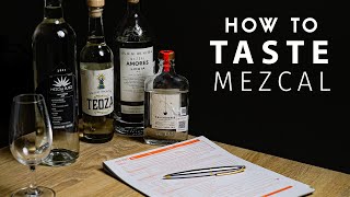 Tasting Mezcal Like a Pro