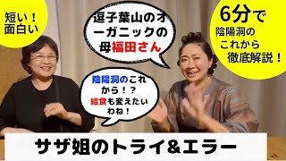 【逗子葉山のオーガニックの母】陰陽洞福田さんに聞く！皆んなで作ってきた陰陽洞のこれから！？給食も積極的に変えていこう！！#葉山町 #子育て #給食 #オーガニック #逗子