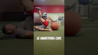 Exercise Ball Single leg Hamstring Curl