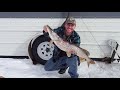 Northern Pike Spearing on Lac qui Parle Lake | Prairie Sportsman