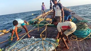 Promfret Fishing in Deep Sea | Pavitra Mariya Boat | पापलेट ची मासेमारी | अरबी समुद्र.