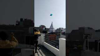 #instareels #kite #youtubeshorts #kiteflying #instashorts #kabootar