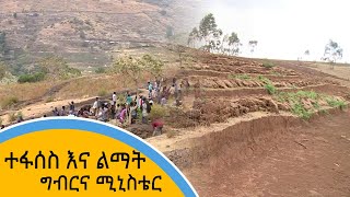 ተፋሰስ እና ልማት - ግብርና ሚኒስቴር