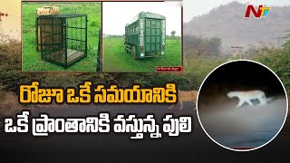 Operation Tiger in Prathipadu: 25 More CC Cameras Arranged | Ntv