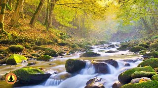 🔴 Relaxing Music 24/7, Stress Relief Music, Sleep Music, Meditation Music, Study, Flowing River