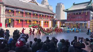 Mesmerizing Dragon Dance Performance in Tianjin, China: A Cultural Spectacle! #China #DragonDance