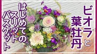 ❁ビオラと葉牡丹❁のスリットバスケット寄せ植え