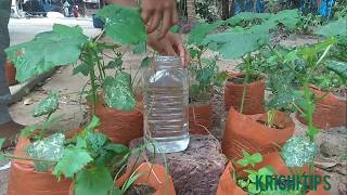 Wick irrigation/drip irrigation/തിരി നന /simple method easy method to watering plants