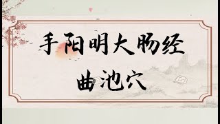 手阳明大肠经--曲池穴