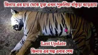 বাঘিনী কি বাড়ি পৌঁছালো দেখুন ? LIVE UPDATE Zeenat Live Update @TARGETPURULIA