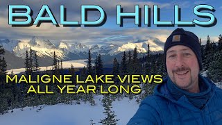 All Season Jasper Hiking with Incredible Views: Bald Hills