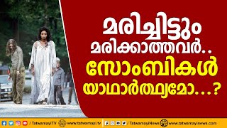 മരിച്ചിട്ടും മരിക്കാത്തവര്‍.. സോംബികള്‍ യാഥാര്‍ത്ഥ്യമോ…? | Could Zombies be Real?