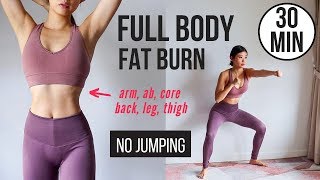 30 min  Body Fat Burn HIIT (NO JUMPING) - Ab, Core, Arm, Back, Leg, Thigh & Card
