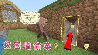 【呆呆cute】我的世界：这村民太无耻！竟挖密道偷我的菜？