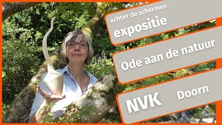 Achter de schermen | Expositie | Ode aan de natuur | NVK | Nationaal Bomenmuseum Gimborn