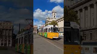 Budapest #shorts #hungary hungary