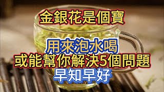 金銀花是個寶，用來泡水喝，或能幫你解決5個問題，早知早好