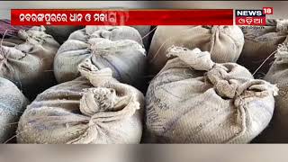 Sara Odisha | 1st Dec 2021 | News18 Odia