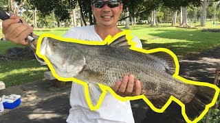 4kg Seabass and more catches @ Pasir Ris Fishing Pond!