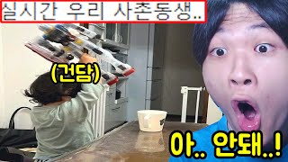 설날 조카 대참사 1초전 레전드 ㅋㅋㅋㅋㅋㅋㅋㅋㅋ