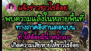 พบภัยแล้งในหลายพื้นที่ในภาคอิสานตอนบน ทำให้อ้อยมีน้ำหนักเบาไม่ได้ตามมาตรฐาน ชาวไร่อ้อยเดือดร้อนมาก