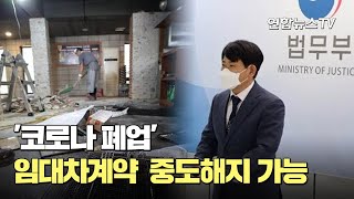 '코로나 폐업' 임대차계약 중도해지 가능 / 연합뉴스TV (YonhapnewsTV)