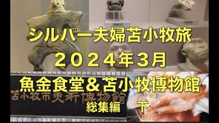 ２０２３年３月苫小牧旅（総集編の下）・宇宙ステーションミール、八王子千人同心、宗格院